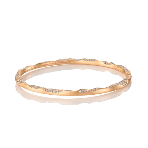 WILD COAST ETERNITY BANGLE