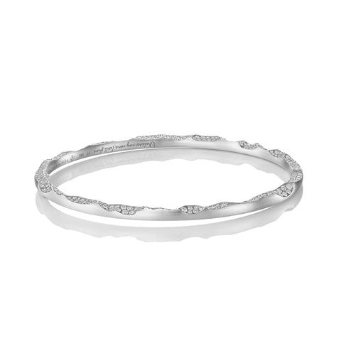 WILD COAST ETERNITY BANGLE