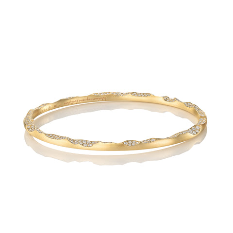 WILD COAST ETERNITY BANGLE