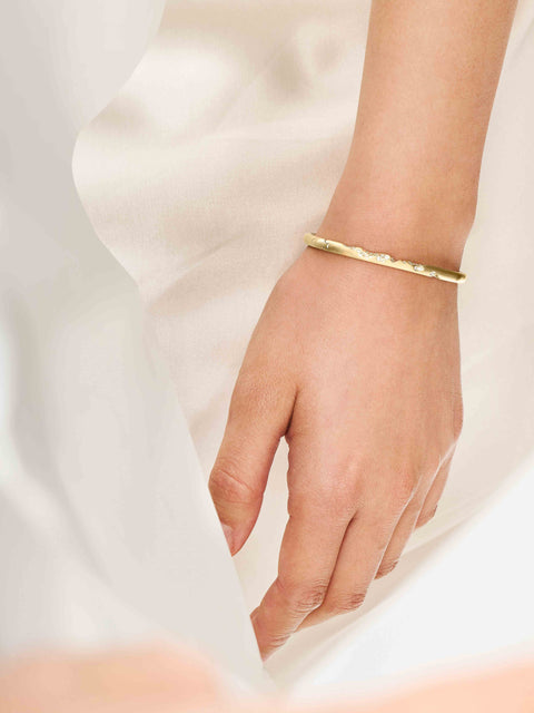 WILD COAST QUARTER BANGLE